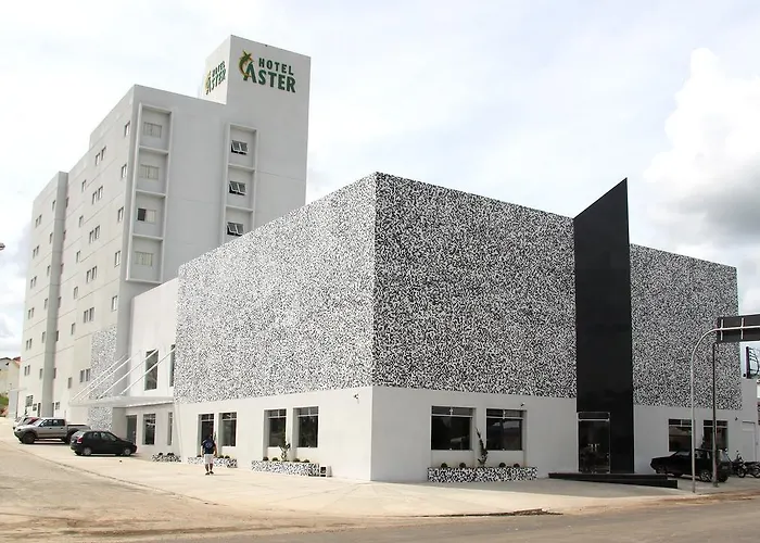 Hotel Áster